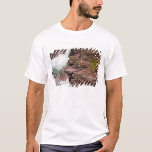 Camiseta Cachoeira de St Mary no Parque Nacional Glacier em