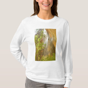 Camiseta Cachoeira do Lower Emerald Pool Rocha vermelha e á