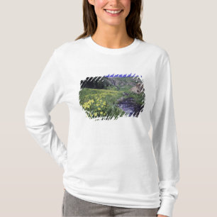 Camiseta Cachoeira e flores silvestres em prado alpino, 2