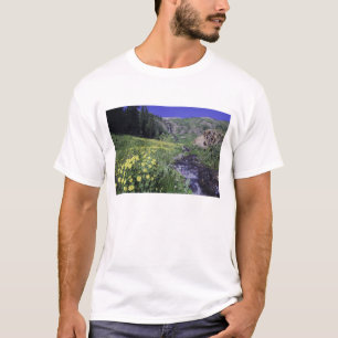 Camiseta Cachoeira e flores silvestres em prado alpino, 2