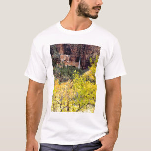 Camiseta Cachoeira efêmera derrama-se de uma fenda no penha