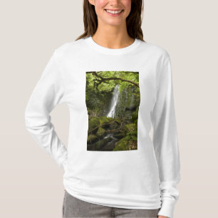 Camiseta Cachoeira Matai, Catlins, South Otago
