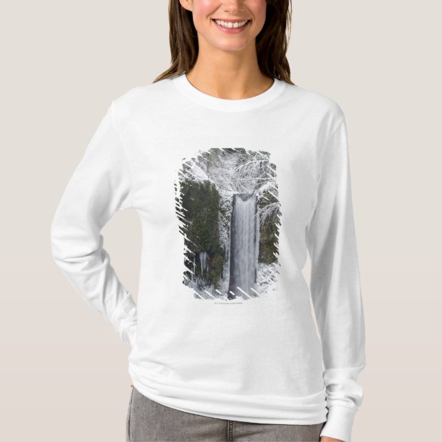 Camiseta Cachoeira obscura cercada por uma floresta nevado (Frente)