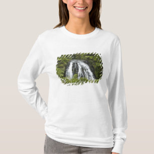 Camiseta Cachoeira Owharoa, Karangahake Gorge, perto de Pae