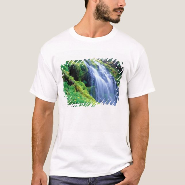 Camiseta Cachoeira Proxy nas Cascatas centrais de Oregon. (Frente)