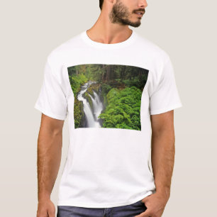 Camiseta Cachoeira Sol Duc no Parque Nacional Olímpico em 2
