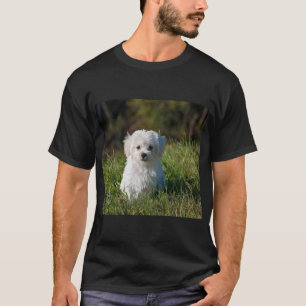Camiseta Cachorrinho branco fofo