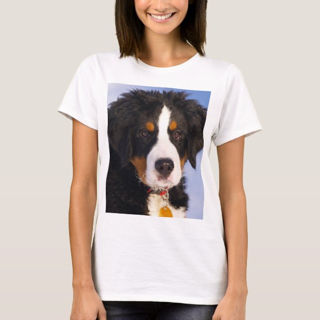 Camiseta cachorrinho-de-montanha-ferrugem (Frente)