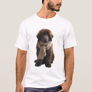 Camiseta Cachorrinho Marrom Fofinho e Charmoso com Cachecol