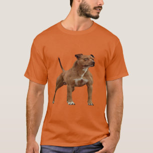Camiseta Cachorro