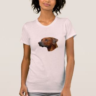 Camiseta Cachorro
