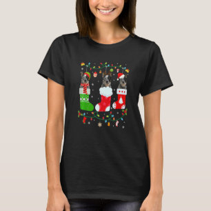 Camiseta Cachorro Australiano Três Meias de Natal Suor