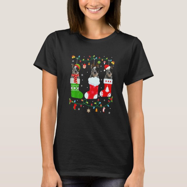 Camiseta Cachorro Australiano Três Meias de Natal Suor (Frente)