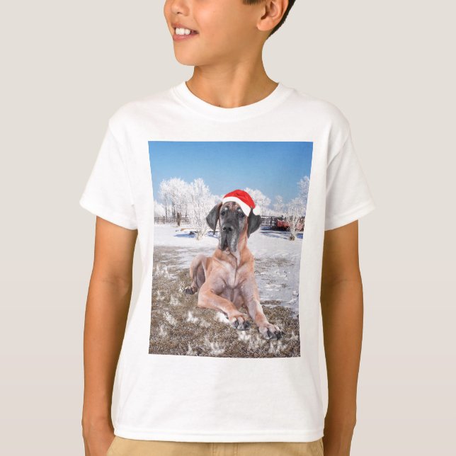 Camiseta Cachorro Bonito Sentado No Chapéu De Natal Da Neve (Frente)