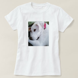 Camiseta Cachorro Branco-Cachorro Misturado