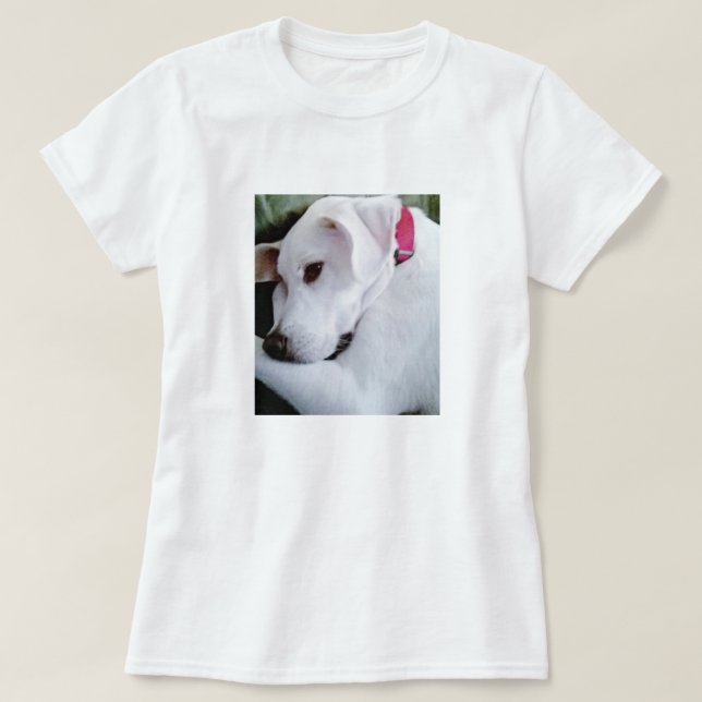 Camiseta Cachorro Branco-Cachorro Misturado (Frente do Design)