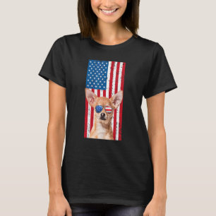Camiseta Cachorro Chihuahua Para Homens Meninos Marrom Chiw