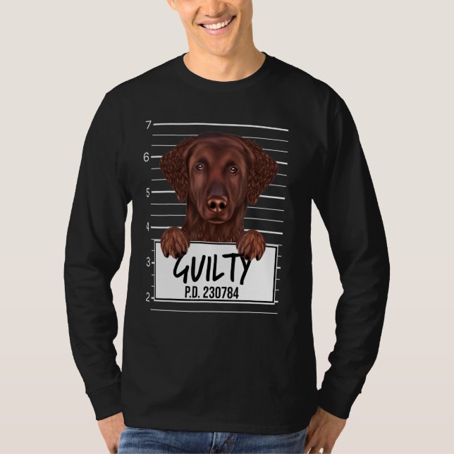 Camiseta Cachorro Culpado do Retriever Curly (Frente)