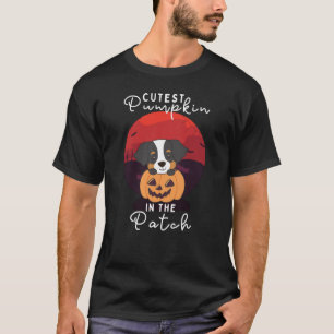 Camiseta Cachorro Da Montanha Bernese Pumpkin Mais Corajoso