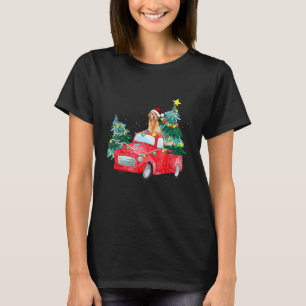 Camiseta Cachorro De Natal Golden Retriever Passeio Caminhã
