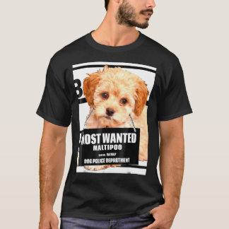 Camiseta Cachorro de Poodle Maltipoo Maltês Mais Desejado