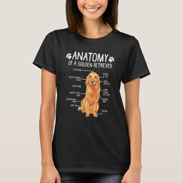 Camiseta Cachorro de Retriever Ouro de Anatomia (Frente)