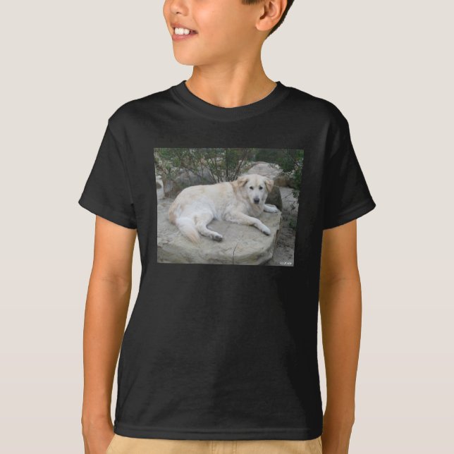 Camiseta Cachorro Descansando Em Uma Rocha (Frente)