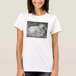 Camiseta Cachorro Descansando Em Uma Rocha
