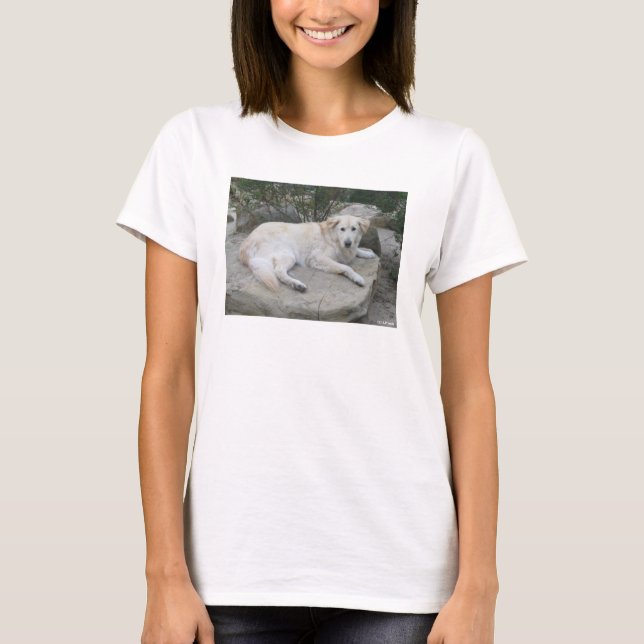 Camiseta Cachorro Descansando Em Uma Rocha (Frente)