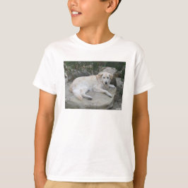 Camiseta Cachorro Descansando Em Uma Rocha