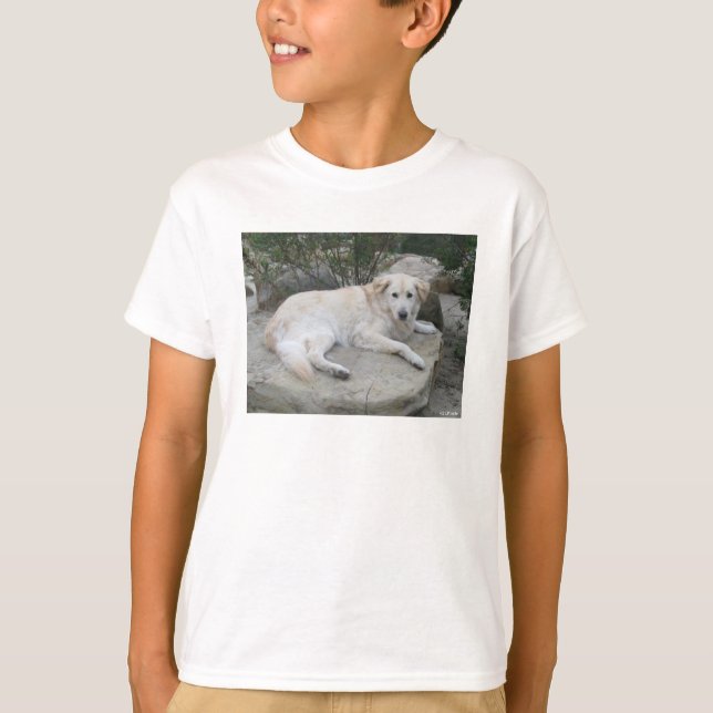 Camiseta Cachorro Descansando Em Uma Rocha (Frente)