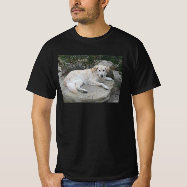 Camiseta Cachorro Descansando Em Uma Rocha (Frente)