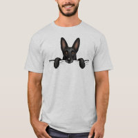 Cachorro German shepherd Negro-Cachorro