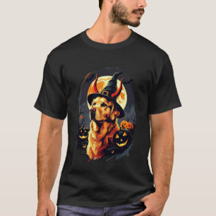 Camiseta Cachorro Golden Retriever Bruxa Abóboras Halloween