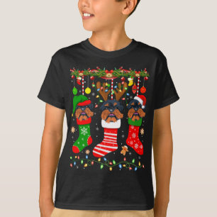Camiseta Cachorro Griffon De Bruxelas Nas Meias De Natal Xm