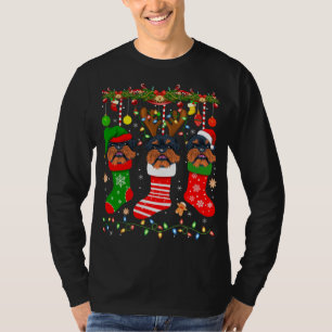 Camiseta Cachorro Griffon De Bruxelas Nas Meias De Natal Xm