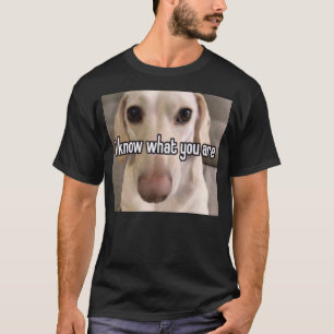 Camiseta Cachorro Homofóbico Eu Sei O Que Você É