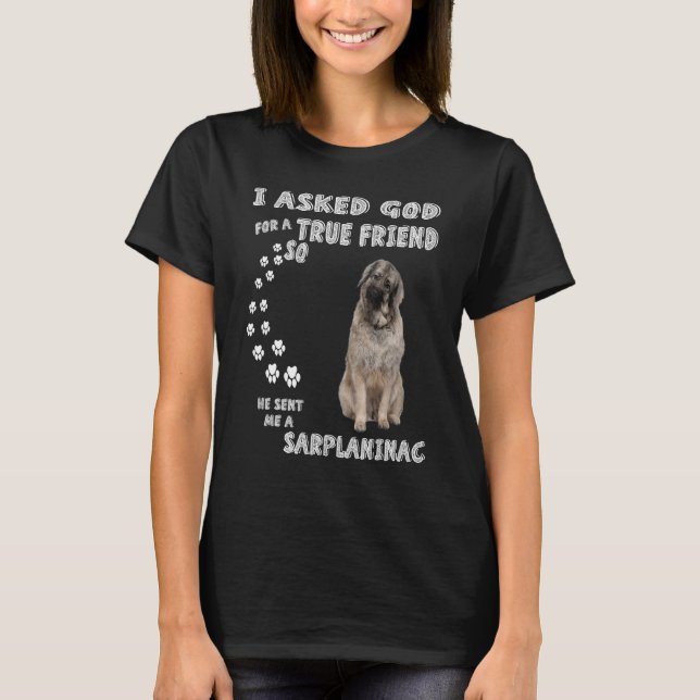 Camiseta Cachorro Illyrian Pai Figurino (Frente)