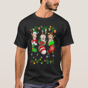 Camiseta Cachorro Labrador Bonito Em Meias De Natal