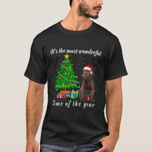 Camiseta Cachorro Labrador De Chocolate É O Tim Mais Maravi