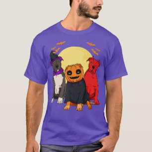 Camiseta Cachorro Labrador Pumpkin Cabeça Preguiçosa Hallow