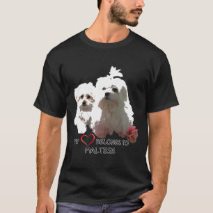 Camiseta Cachorro Maltês Cachorros Cachorros Cachorros Cach