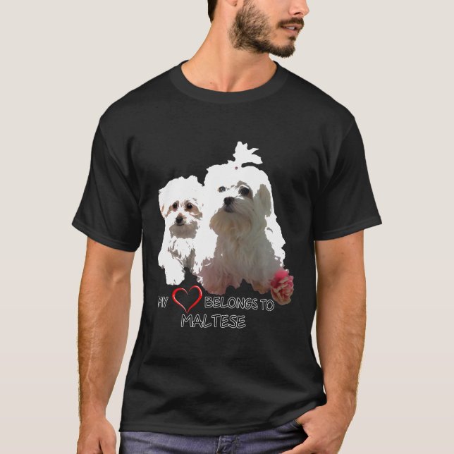 Camiseta Cachorro Maltês Cachorros Cachorros Cachorros Cach (Frente)
