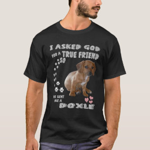 Camiseta Cachorro Mamãe Fumaça Pet, Pai de Beagle Dachshu
