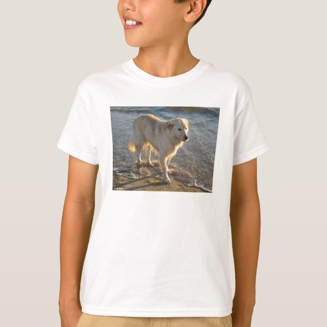 Camiseta Cachorro Na Praia (Frente)
