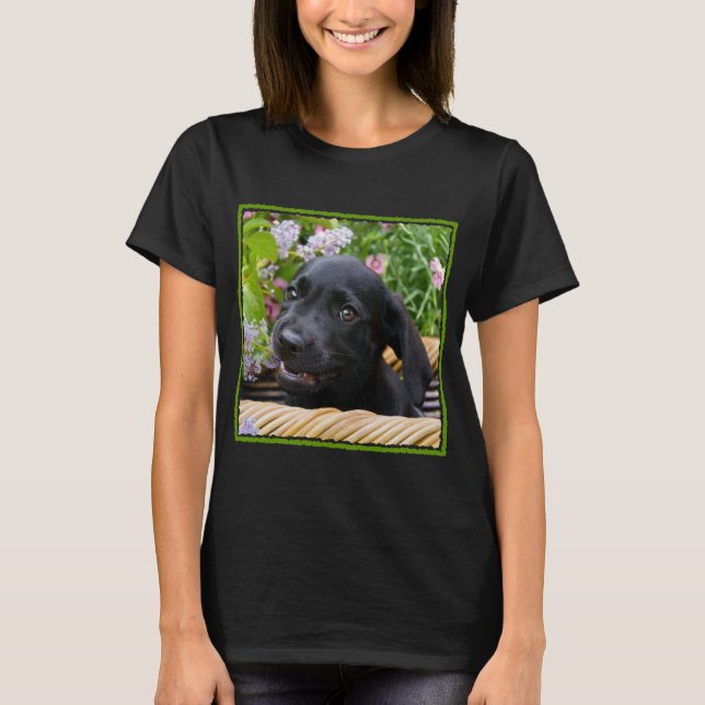 Camiseta Cachorro Negro-Bonito Labrador Retriever Foto Pet  (Frente)