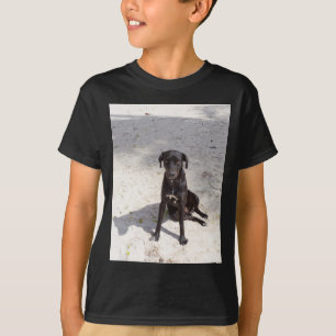 Camiseta Cachorro negro com mau