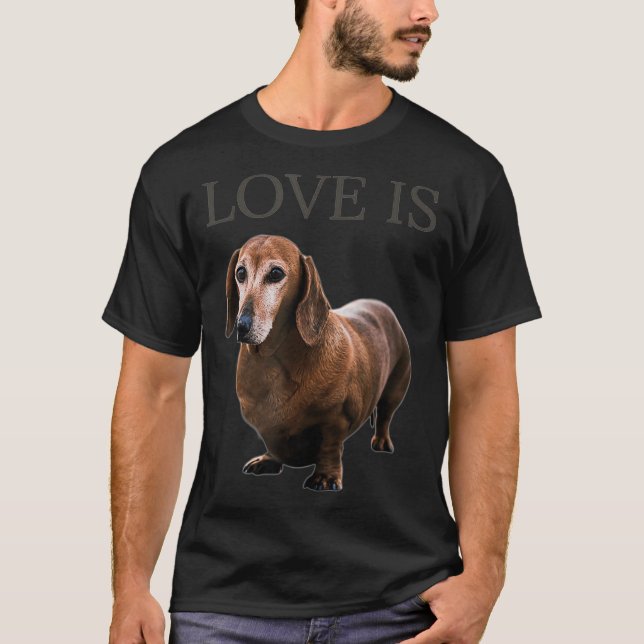 Camiseta Cachorro Pai Homens Mulheres Crianças Dando Doxie (Frente)
