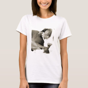 Camiseta Cachorro pit bull preguiçoso e fofo dormindo