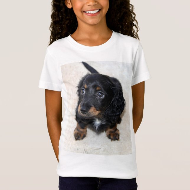 Camiseta Cachorro-preto-branco-creme-pompa (Frente)